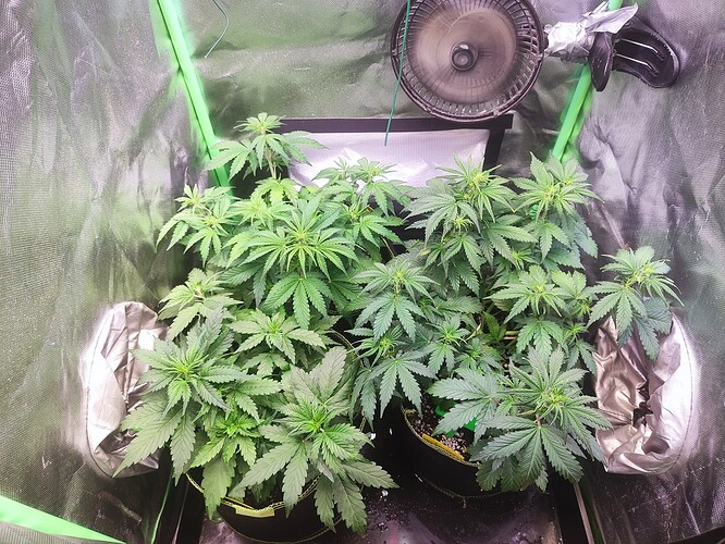 Growreport Bild 9