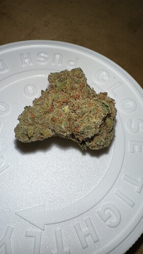 Growreport Bild 50