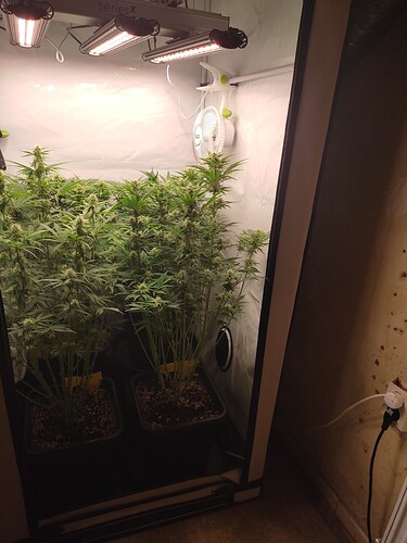 Growreport Bild 19
