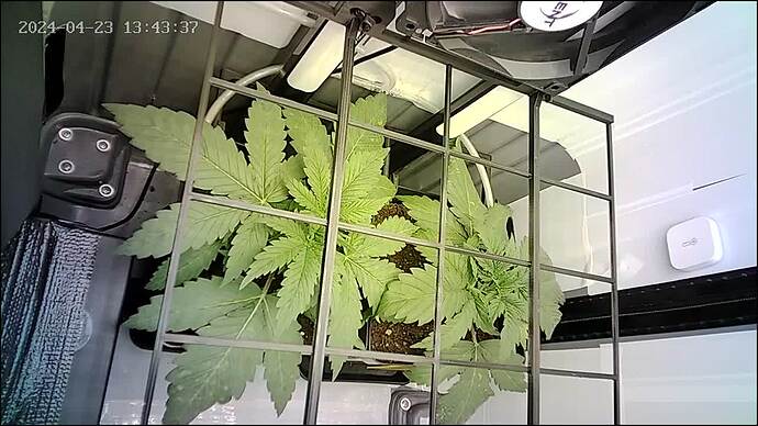 Growreport Bild 5