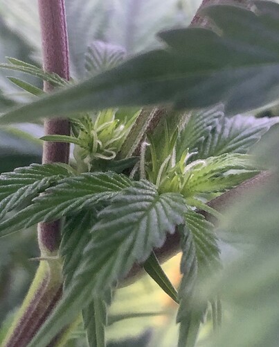 Growreport Bild 1