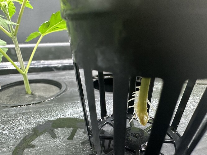 Growreport Bild 3