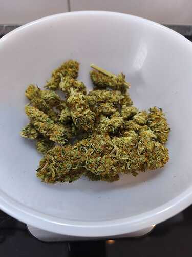 Growreport Bild 8