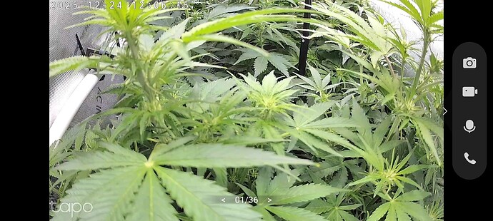 Screenshot_20251224_120619_Tapo
