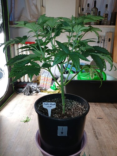 Growreport Bild 26