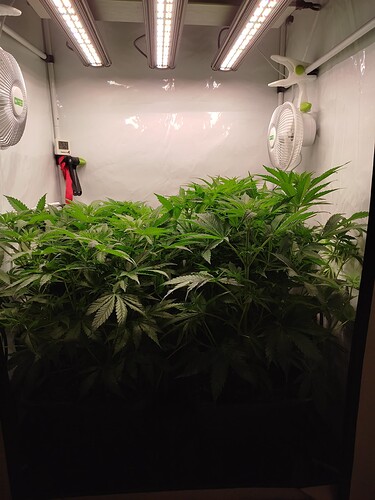 Growreport Bild 10