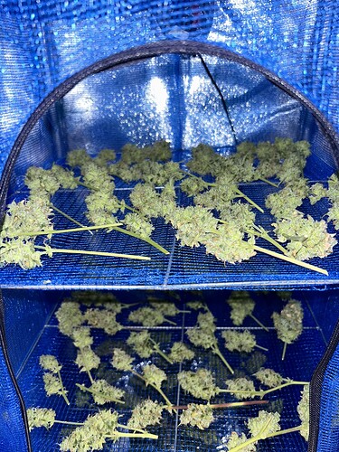Growreport Bild 20