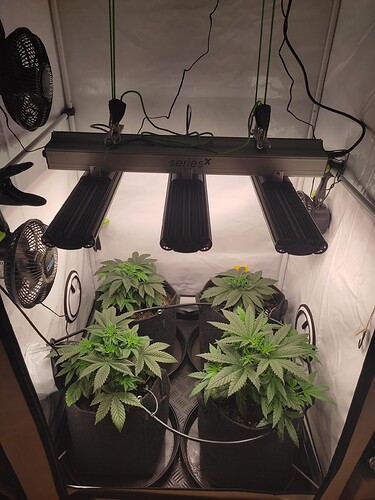 Growreport Bild 3