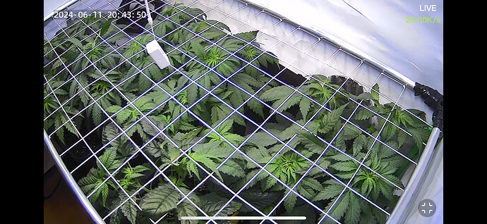 Growreport Bild 10