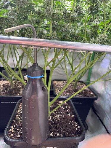 Growreport Bild 6