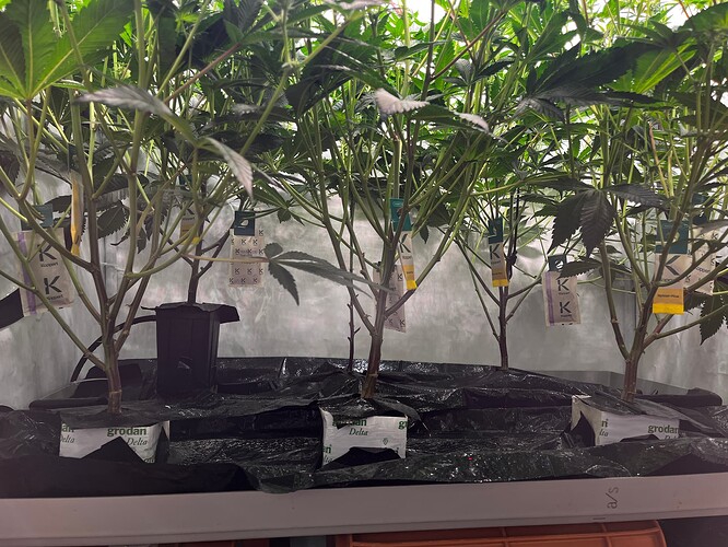 Growreport Bild 10