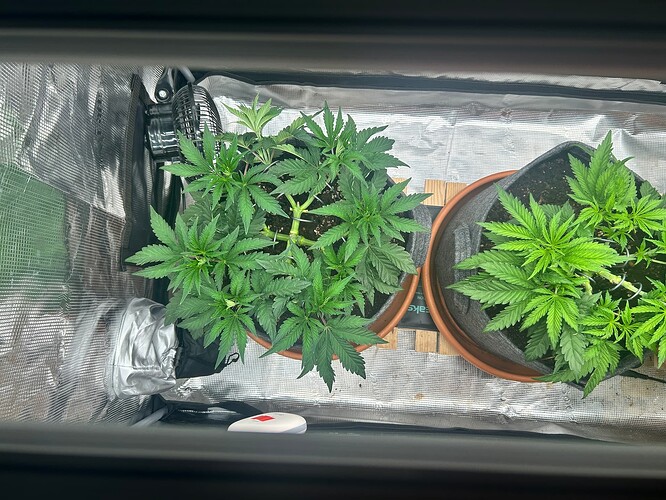 Growreport Bild 24