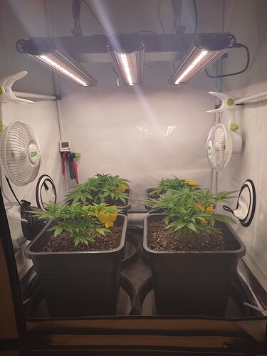 Growreport Bild 10