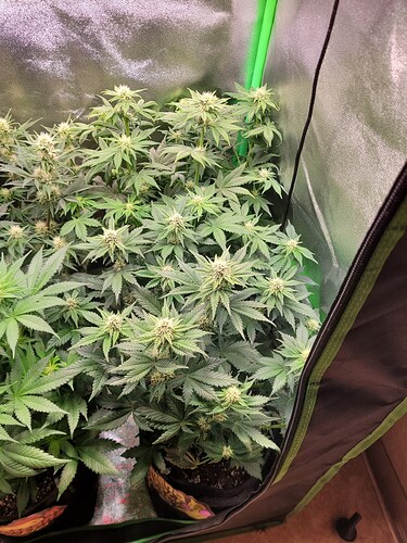 Growreport Bild 10