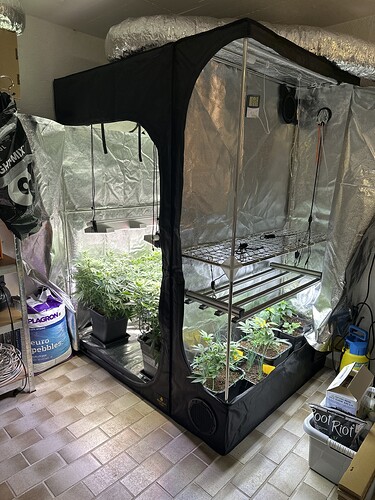 Growreport Bild 1