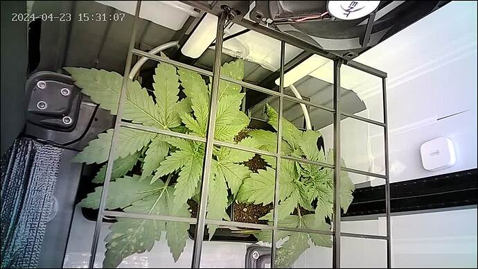 Growreport Bild 6
