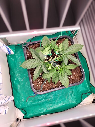 Growreport Bild 12
