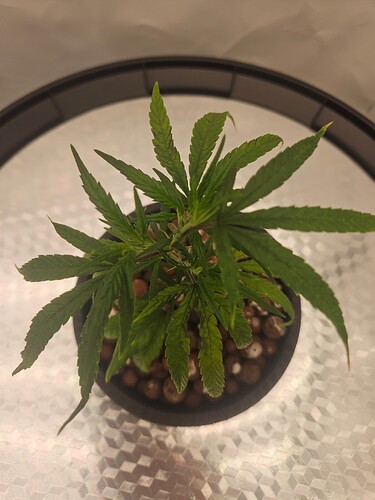 Growreport Bild 42