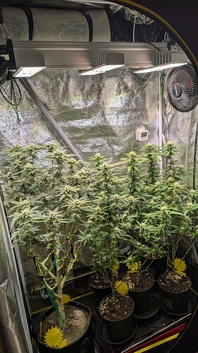 Growreport Bild 2