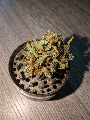 Growreport Bild 20