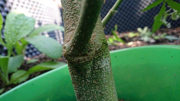 Growreport Bild 3