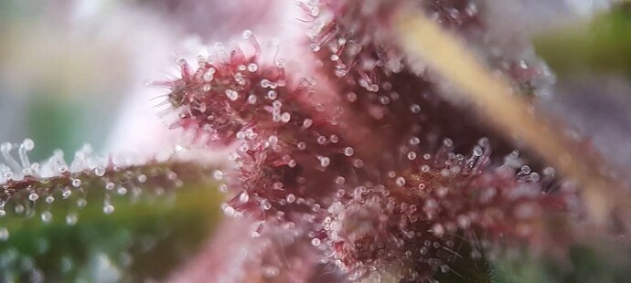 Growreport Bild 11