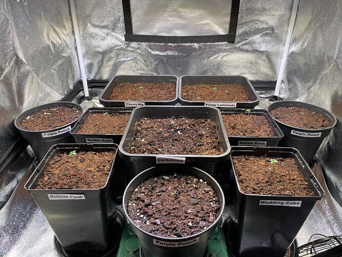 Growreport Bild 25