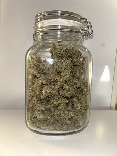 Growreport Bild 32