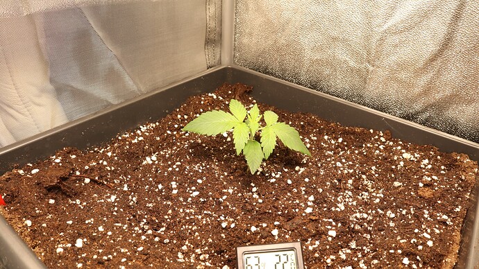 Growreport Bild 14
