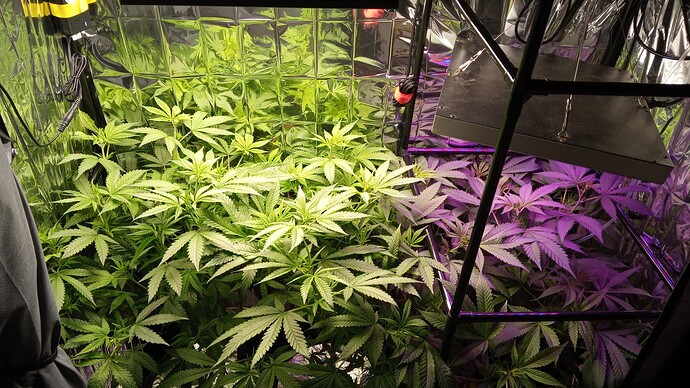 Growreport Bild 12