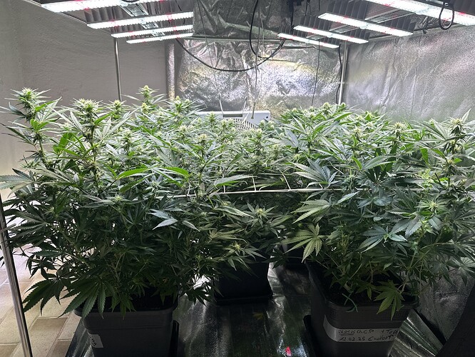 Growreport Bild 8