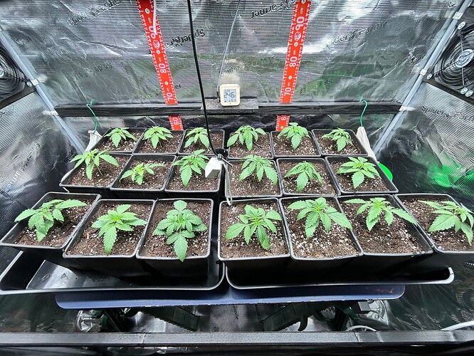 Growreport Bild 8