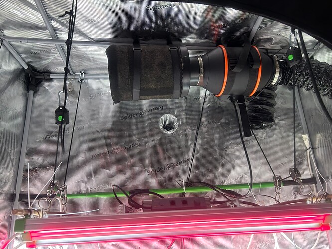 Growreport Bild 14