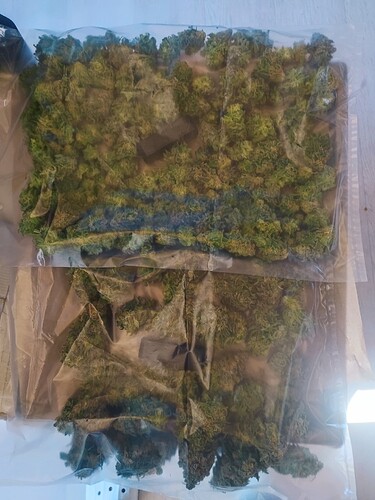 Growreport Bild 25