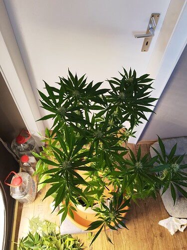 Growreport Bild 10
