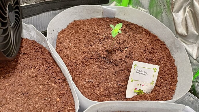 Growreport Bild 32