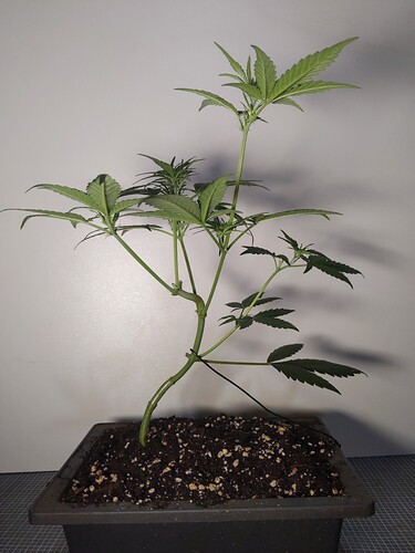 IMG_20230908_211013_013