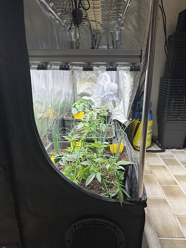 Growreport Bild 6