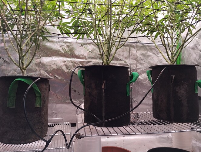 Growreport Bild 11