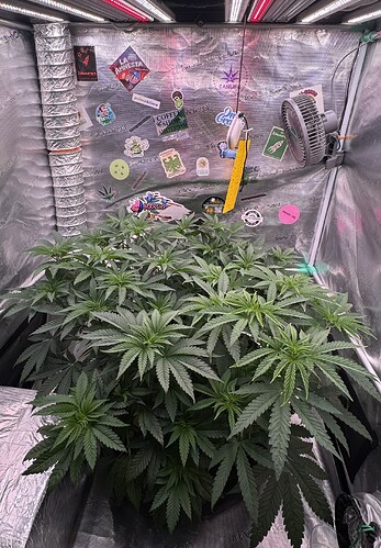 Growreport Bild 14