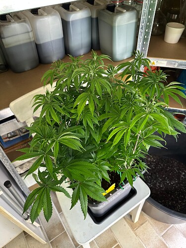 Growreport Bild 43