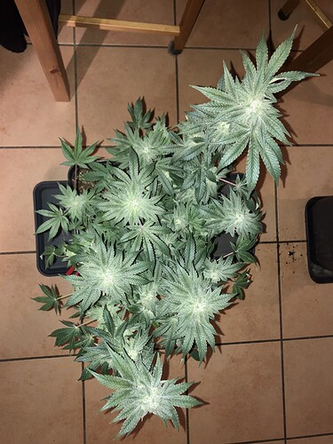 Growreport Bild 14