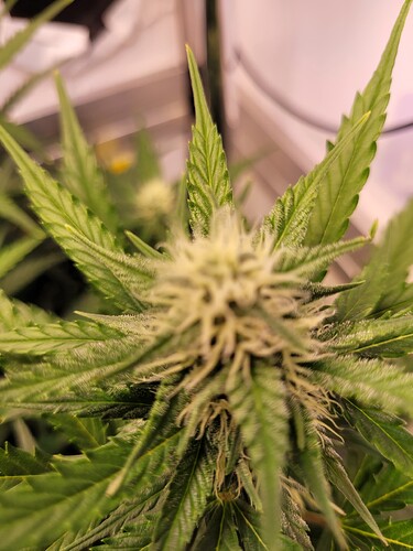 Growreport Bild 9