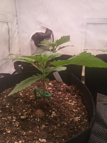 2024-05-08-083936_002