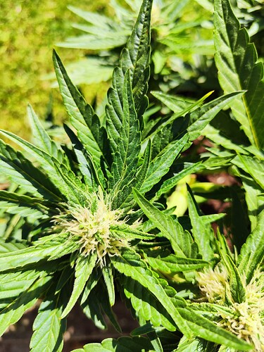 Growreport Bild 22