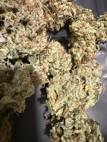 Growreport Bild 10