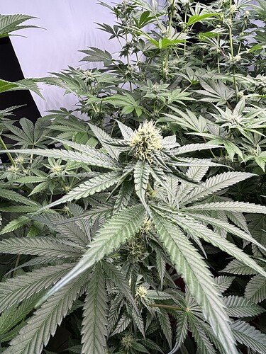 Growreport Bild 18