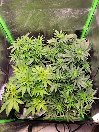 Growreport Bild 9