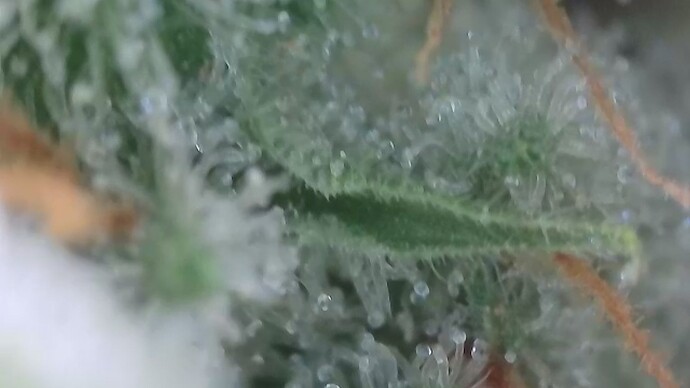 Growreport Bild 18