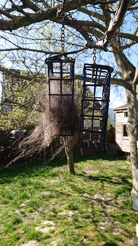 Nestbau